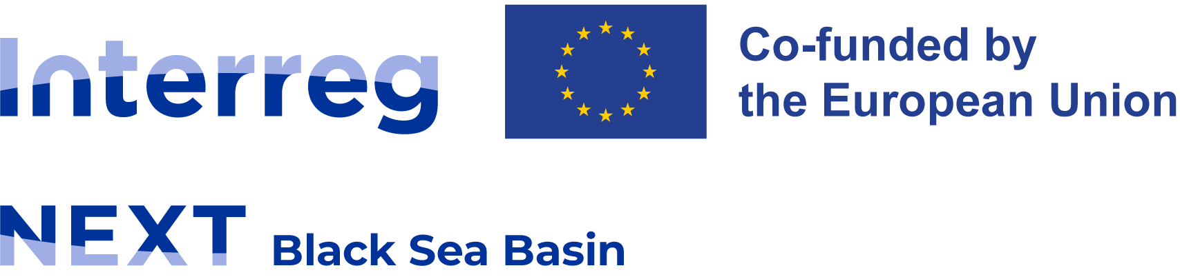 Logo NEXT Black Sea Basin RGB Color